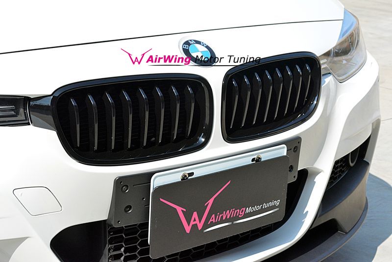 BMW F30 Performance Grille 02